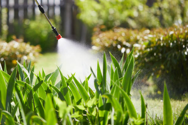 Tamper-Resistant Bait Stations for Rodents in Keyes