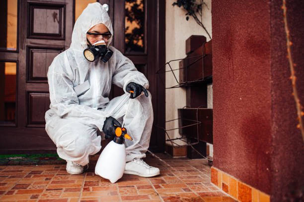 Attic and Crawl Space Rodent Treatment in Keyes