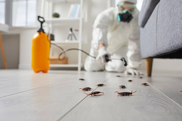 Commercial Rodent Management in Keyes